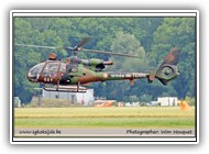 Gazelle Armée de Terre 4019 GAY_1